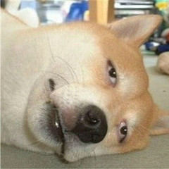 大鱼海棠图片调色,大鱼海棠色彩美学