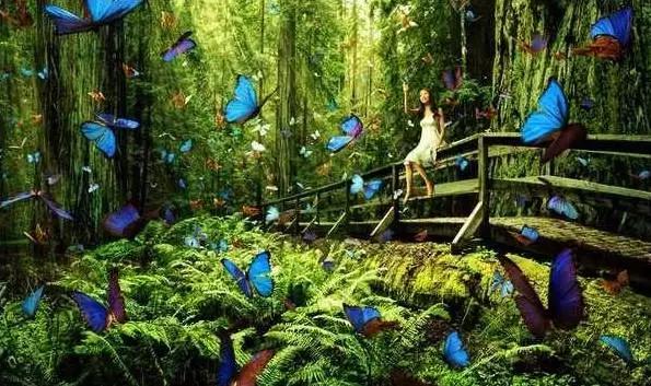 太原投资2000万风情文化节！引来50万只萤火虫！20万只蝴