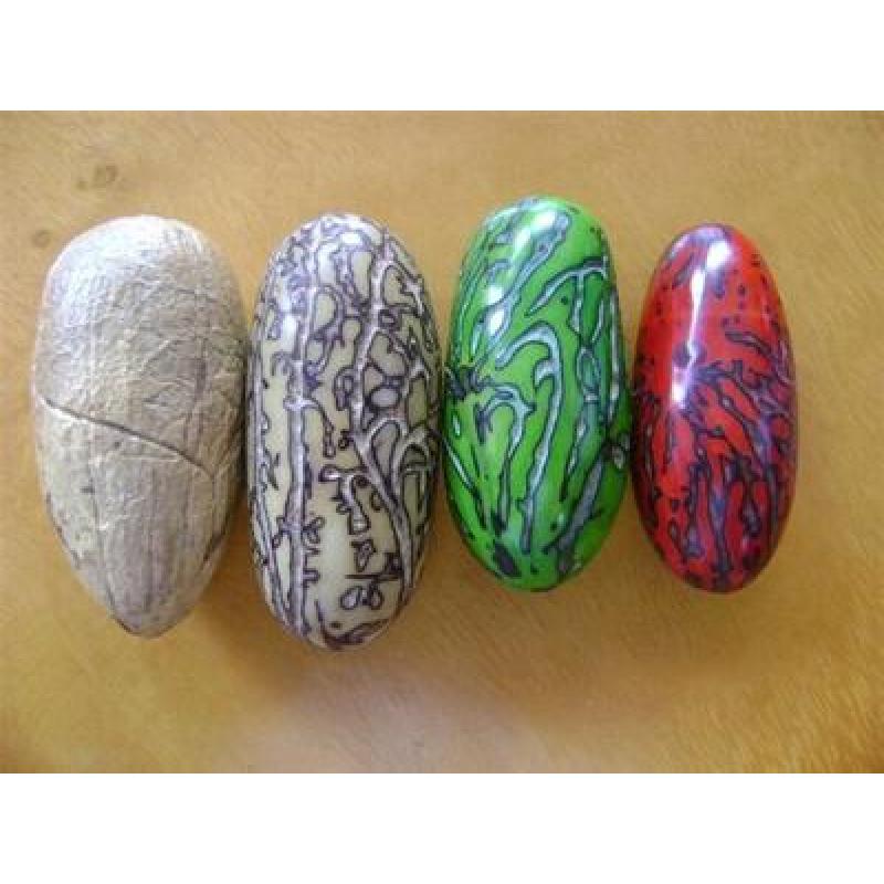 凤眼菩提的正确保养方法,老凤眼菩提手串怎么保养