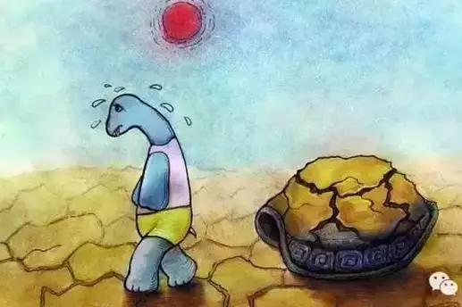 重庆改名字有望吗,重庆有望改名吗