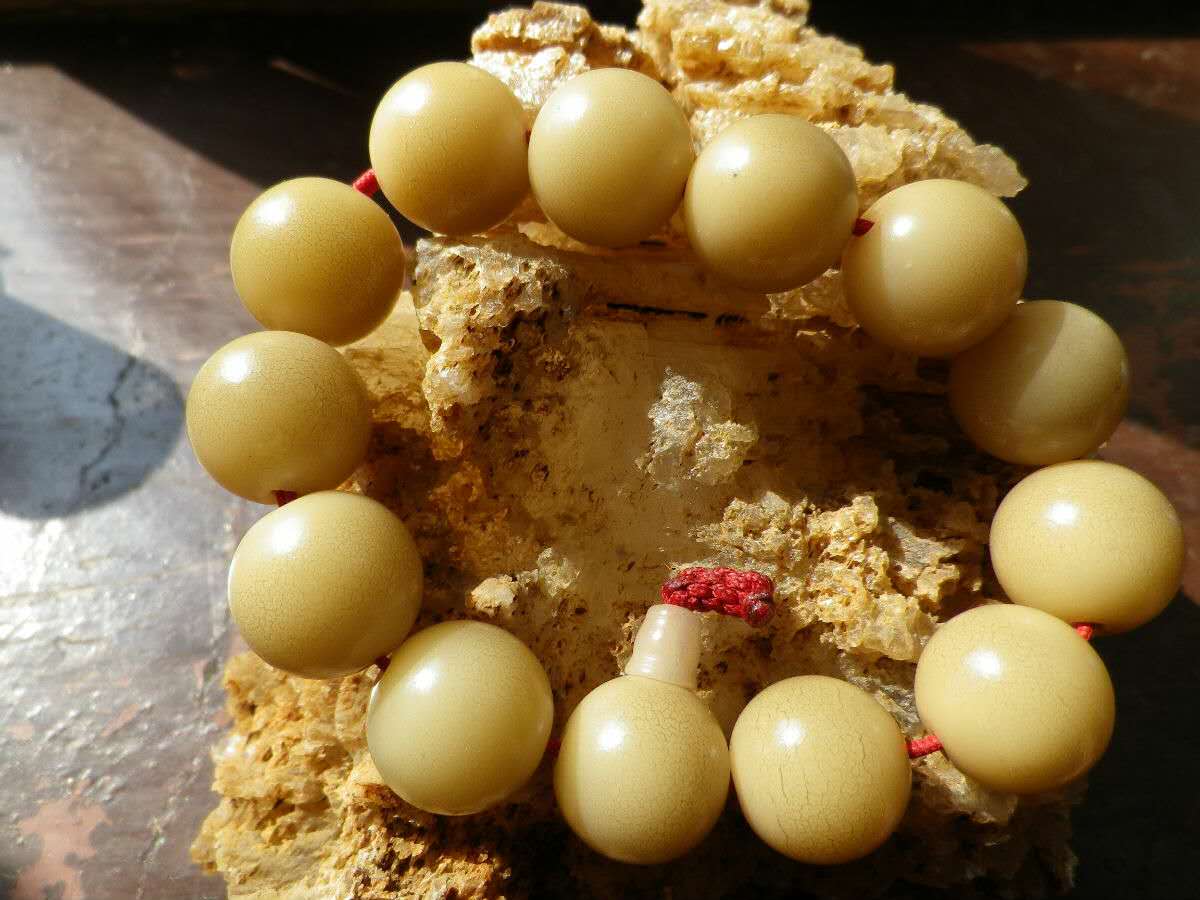 你对星月菩提有了解吗,星月菩提的真实内幕