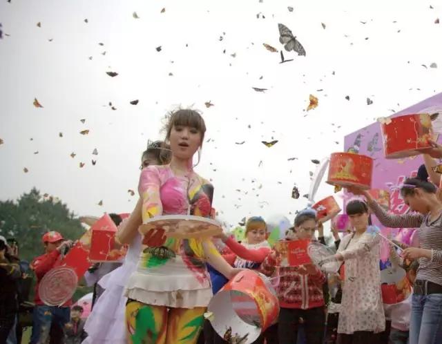 太原投资2000万风情文化节！引来50万只萤火虫！20万只蝴