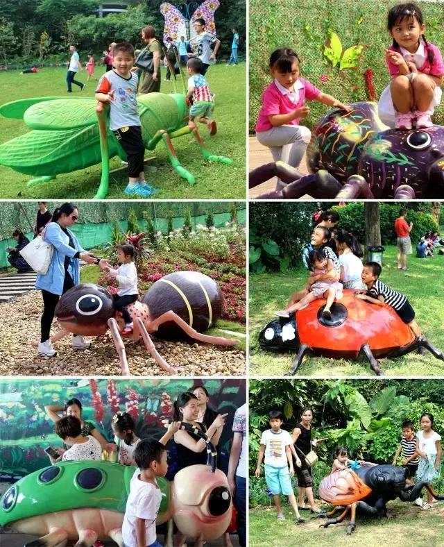 太原投资2000万风情文化节！引来50万只萤火虫！20万只蝴