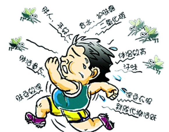 夏日驱蚊止痒必备神器,夏季驱蚊止痒神器排行榜