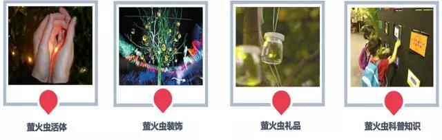 太原惊现史上最虐心的蝶萤文化节！爱我就带我去与蝶共舞、与萤作
