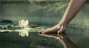 甲骨文拆字：老猫叔叔解忧第十四弹！