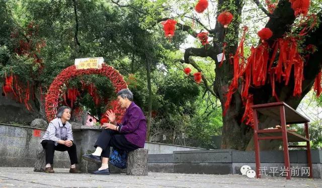 武平岩前有哪些景区,武平岩前有什么好玩的