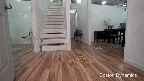 bostondynamics现代汽车,bostondynamics家庭机器人