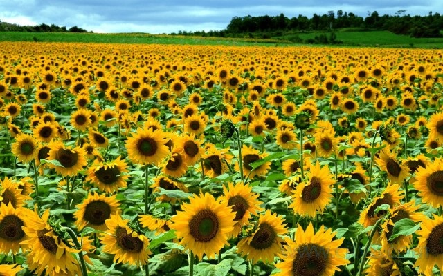 一生必去的世界最美的地方,世界一生必去的10个最美的地方