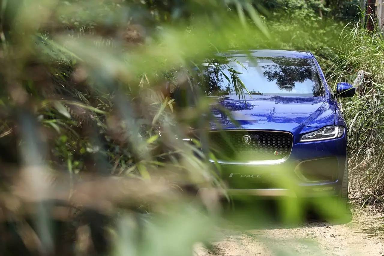 试驾捷豹f-pace最新款,新款捷豹f-pace试驾评测