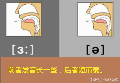 全网最快学习音标,零基础自学音乐音标