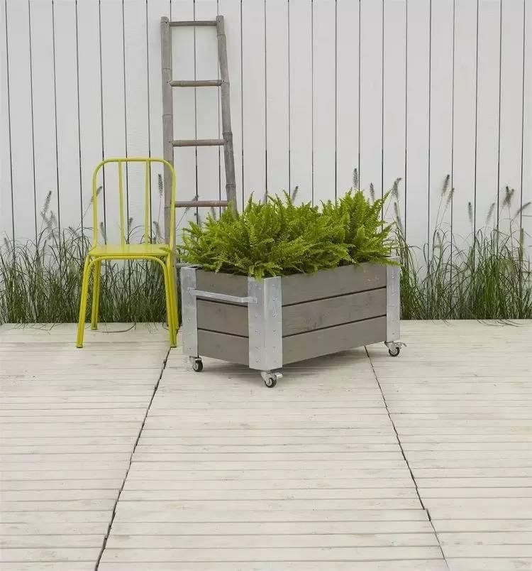 各种花盆搭配什么绿植,适合搭配装饰花盆的小植物