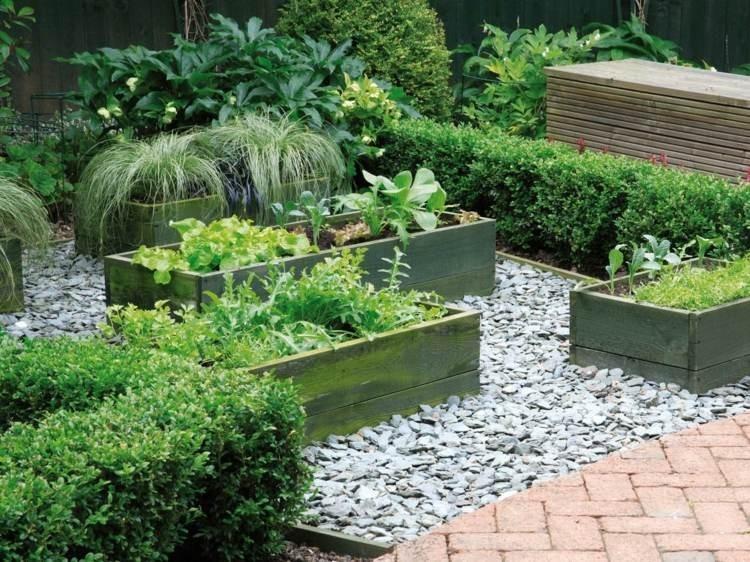 各种花盆搭配什么绿植,适合搭配装饰花盆的小植物