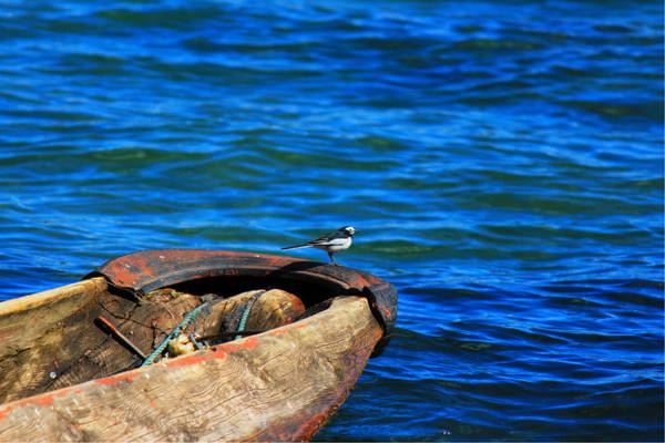 人生若只如初见在广州,人生若只如初见云南