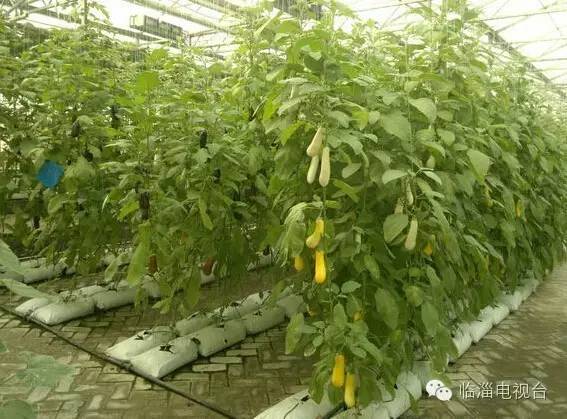 1分钟阅读视频,1分钟阅读