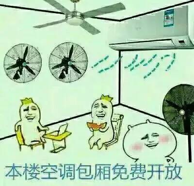 7月1日起，豹子号、吉祥号可以拍卖了，看看你的车号值多少钱