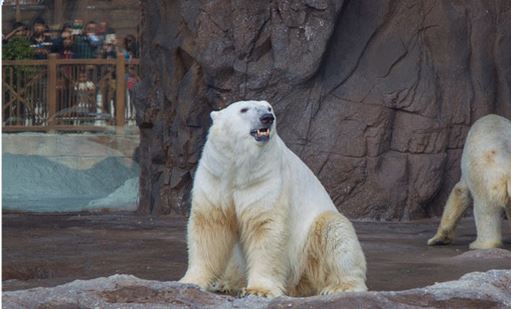 带小孩珠海长隆海洋王国攻略最新,暑假母子俩游览珠海长隆海洋世界