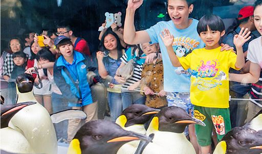 带小孩珠海长隆海洋王国攻略最新,暑假母子俩游览珠海长隆海洋世界