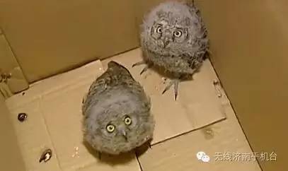 济南人不可不知！围观7月起新规来袭微信支付宝要实名