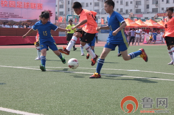 礼仪之花绽放国旗下讲话,礼仪之花盛放校园