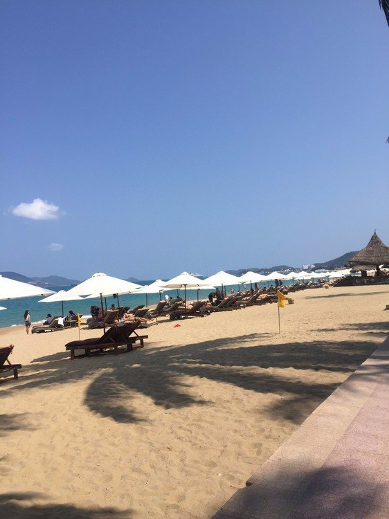 芽庄旅游落地签证注意事项,芽庄旅游签证办理流程及费用