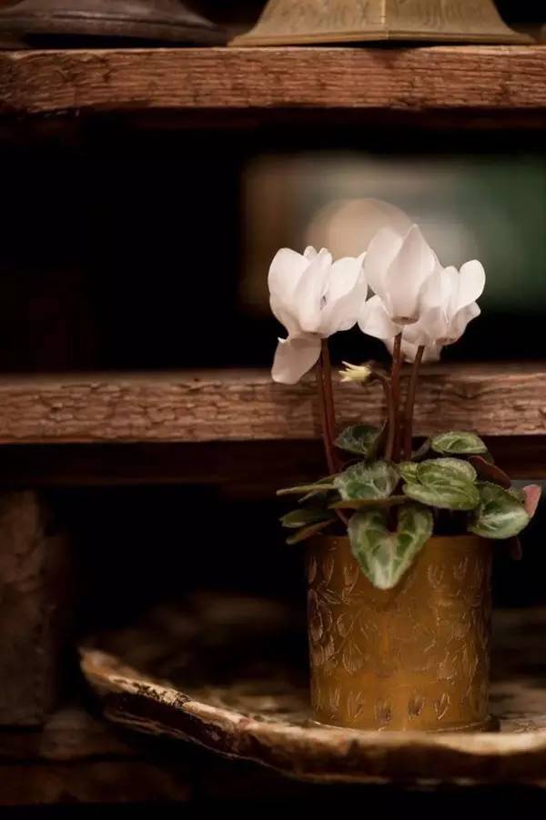 苏轼行香子几时归去原文,何时归去做个闲人行香子