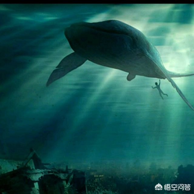 「娱乐」大鱼号怎么样？凑合