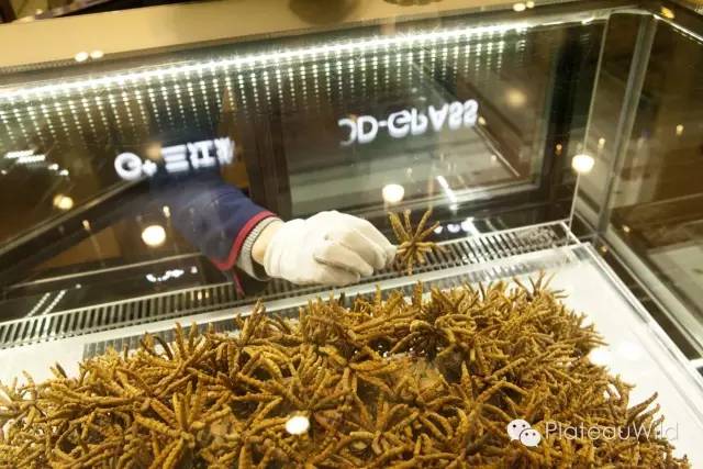 冬虫夏草缘何如此珍贵,冬虫夏草值得捡吗