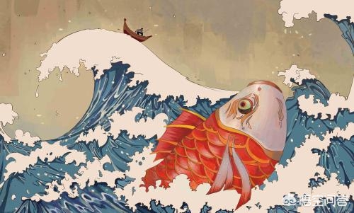 「娱乐」大鱼号怎么样？凑合