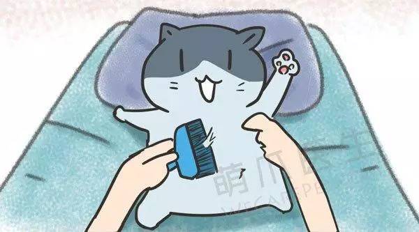 宠物驱跳蚤最有效的方法,自己在家怎么给宠物除蚤