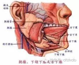 痄腮怎么治有偏方吗,痄腮的中医治疗最快的方法