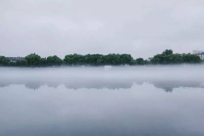 镜头下的信阳浉河区,信阳浉河区美丽景象