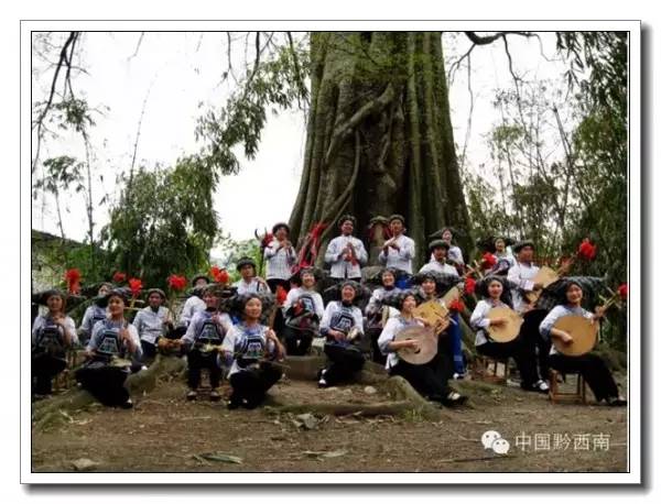 八音坐唱曲谱,黔西南八音坐唱主要乐器