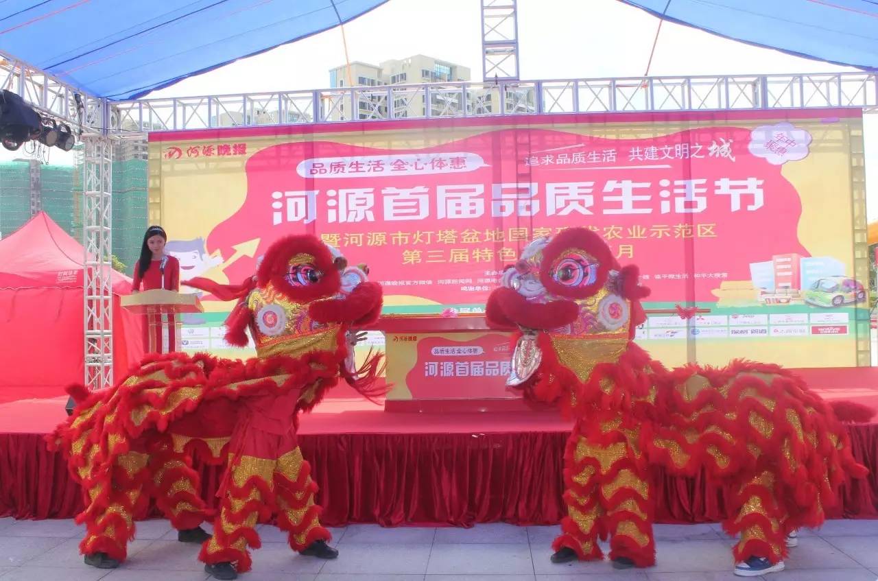 品质生活季汽车嘉年华,河源文化嘉年华活动