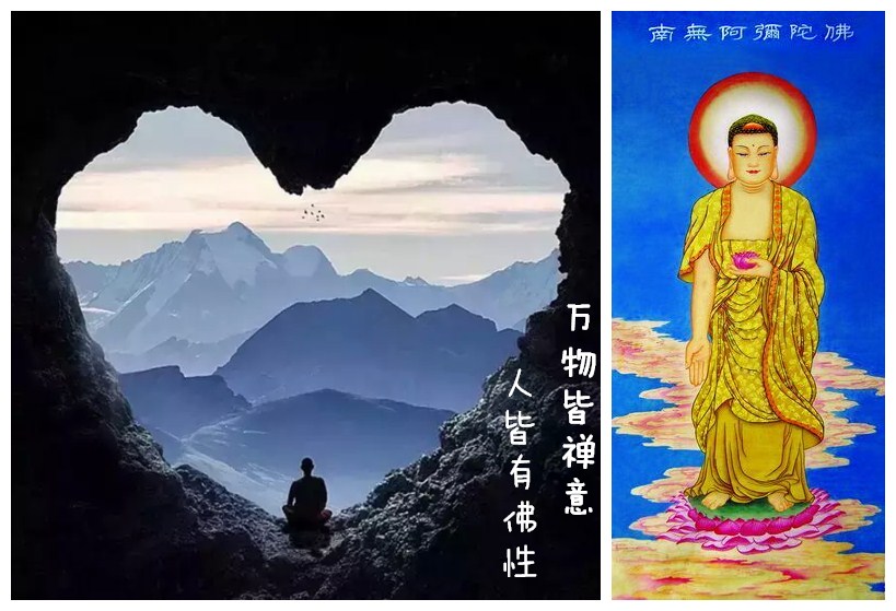 一花一世界一叶一菩提人生感悟,一花一世界一树一菩提一切皆随缘