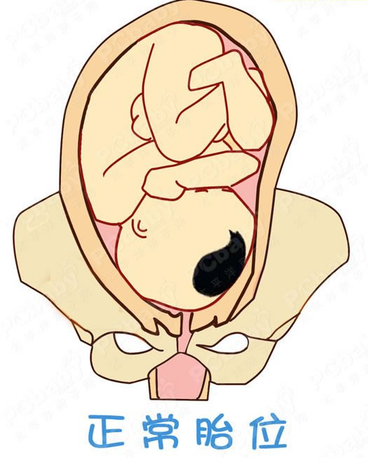 看懂25大特征，轻松生个大胖小子，你中了几条呢