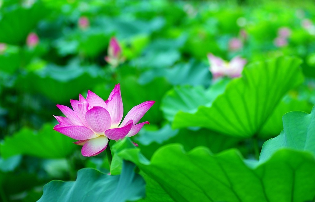 你为什么想留在珠海,你为什么选择来珠海