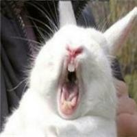 现在都还不知道？身边生物的寿命（饲养编）