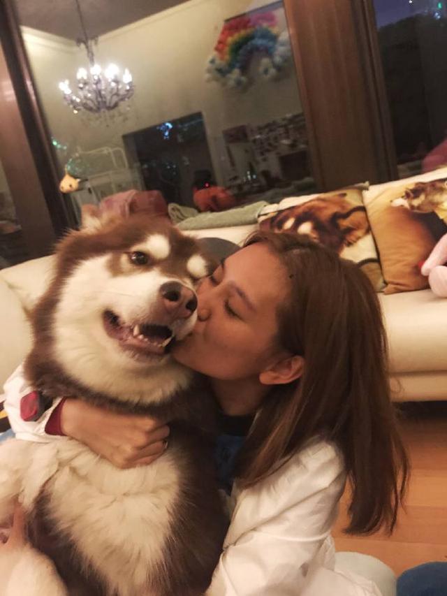 王思聪宠物狗链子,王思聪给爱犬戴项链