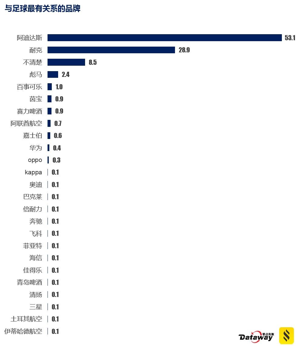 欧洲杯球迷实录,欧洲杯阿迪