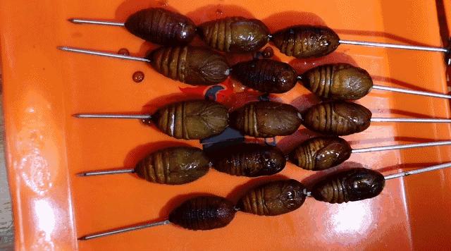 宝安人民可以做的最浪漫的事情，没有之一