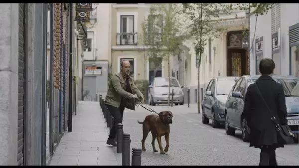 今年豆瓣评分最高的电影,今年豆瓣评分最高的十部华语电影