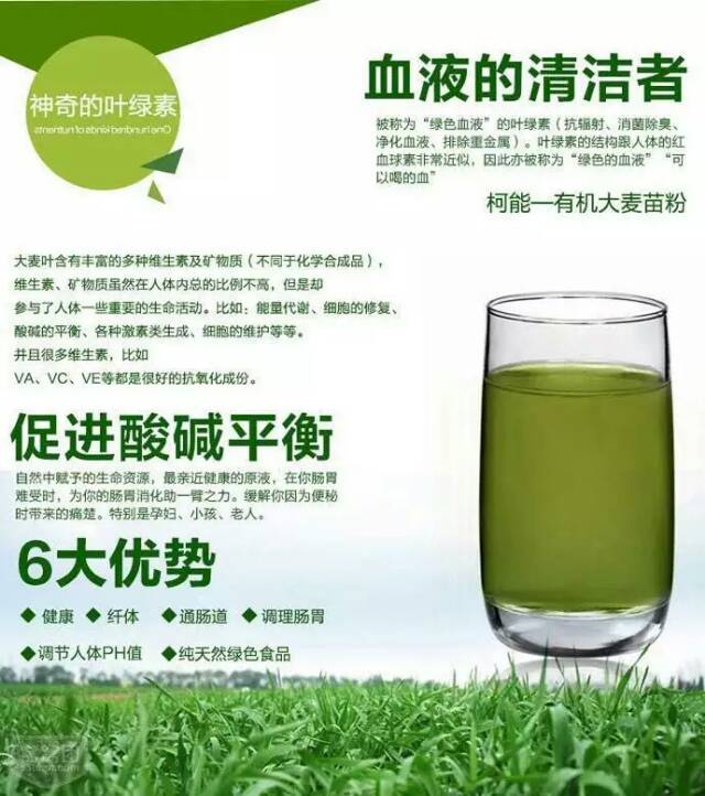 青汁减肥吗,青汁的作用