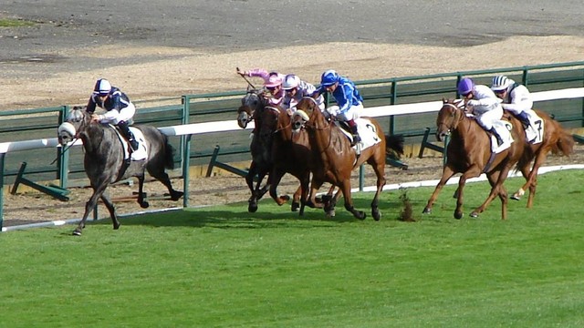 阿尔及利亚产业发达吗,阿尔及利亚国别风险