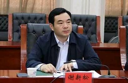 谢新松判多长时间,谢新松