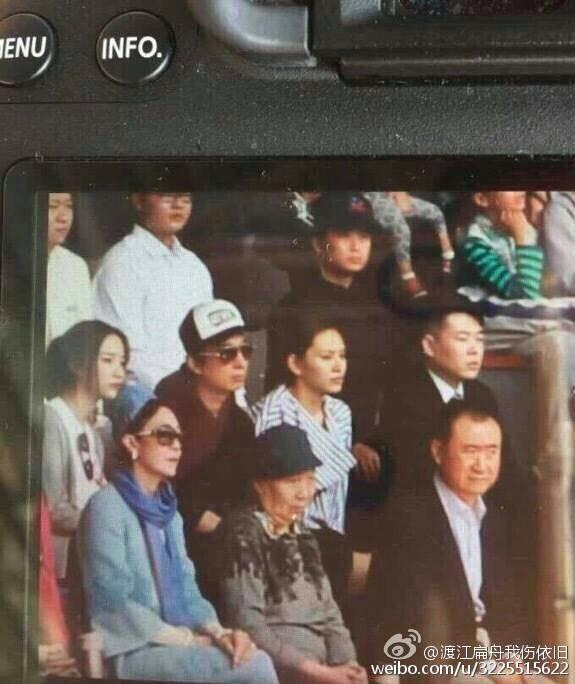 王思聪宠物狗链子,王思聪给爱犬戴项链