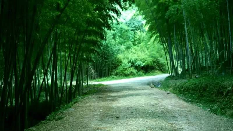 《红旗飘飘》《净土》著名词曲人为《碧血丹心》主题曲再次合作