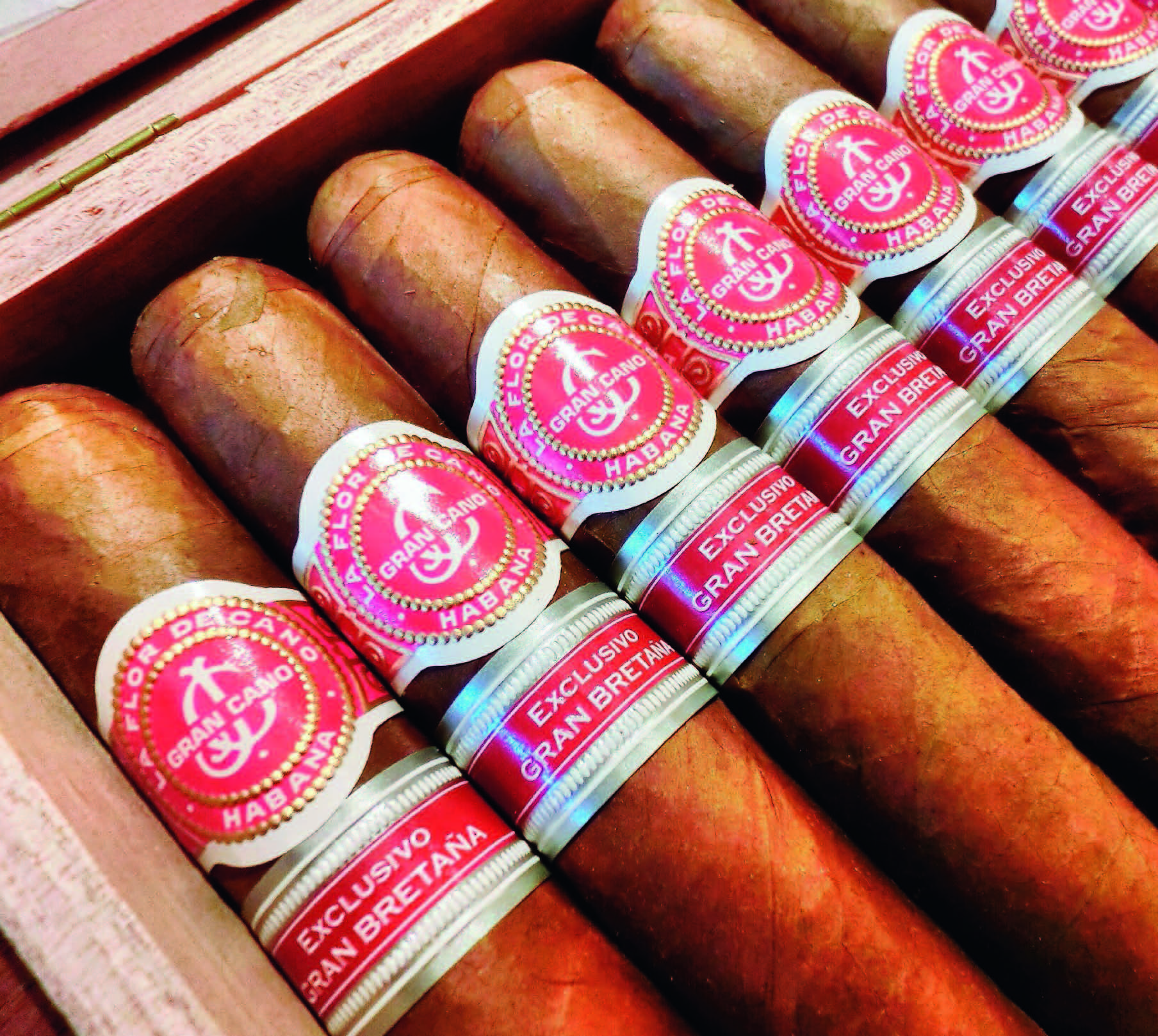 性价比最高的五款雪茄,比较亲民的十款雪茄
