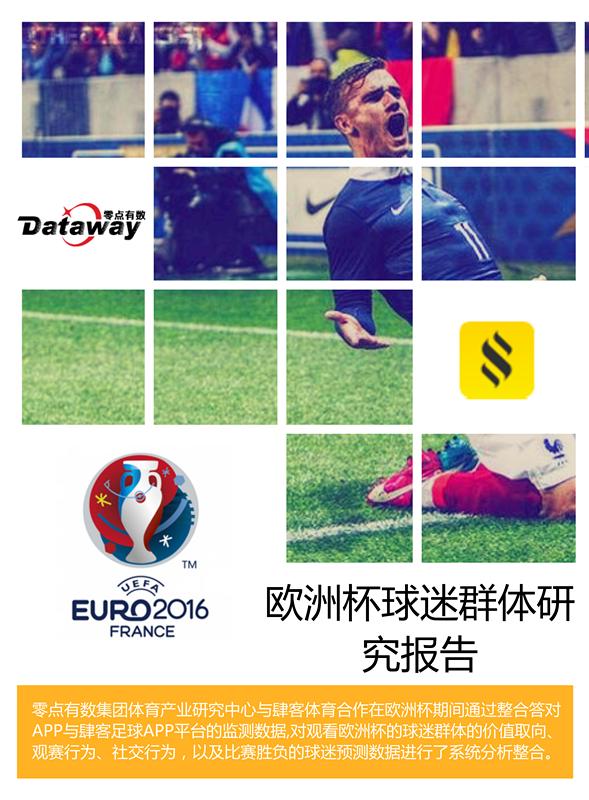 欧洲杯球迷实录,欧洲杯阿迪