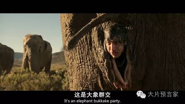 英国佬的基情我服了